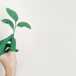El impacto ambiental y las iniciativas de sostenibilidad en El Tesoro Parque Comercial